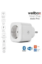 Akıllı Kablosuz Akım Korumalı 16a Wifi Priz Telefon Kontrollü - 1