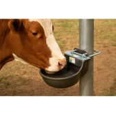 Otomatik Şamandıralı 4.5 Litre Kırılmaz Çelik Döküm Hayvan Suluğu-2 Adet thumbnail 4