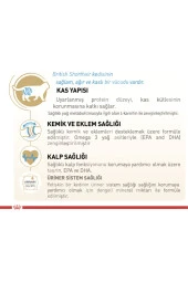 Royal Canin Cat Fbn British Shorthair Kedi Maması 10 Kg - 2