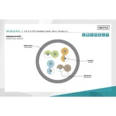 DIGITUS CAT6 Utp 23AWG Gri 500m Makara Saf Bakır Kablo 0.50mm DK-1613-VH-5-GR thumbnail 3