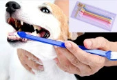 Çift Taraflı Kedi Köpek Diş Fırçası 4 lü set - 1