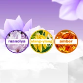 Dalin Bebek Kolonyası 150ML Bahar Tazeliği (Manolya-Ylang,Ylang-Amber Kokulu) (24 Lü Set) - 4