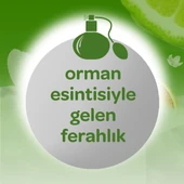 Dalin Bebek Kolonyası 150ML Orman Esintisi (Turunçgiller-Yasemin-Misk Kokulu) - 4
