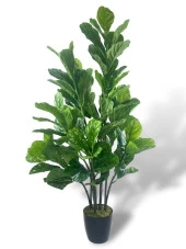 Nettenevime Yapay Ağaç Keman Yapraklı Kavuçuk Yeşil Salon Bitkisi Siyah Saksıda 140cm thumbnail 1