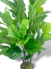 Nettenevime Yapay Ağaç Keman Yapraklı Kavuçuk Yeşil Salon Bitkisi Siyah Saksıda 140cm thumbnail 5