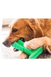 Köpek Diş Fırçası Isırma Aparatı Diş Kaşıma Oyuncağı Küçük Boy - 4