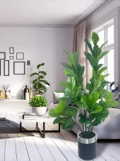 Nettenevime Yapay Ağaç Keman Yapraklı Kavuçuk Yeşil Salon Bitkisi Siyah Gümüş Galvaniz Saksıda 140cm - 4
