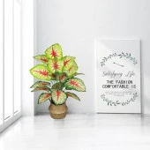 Nettenevime Yapay Çiçek Demet Tropik Kızıl Caladium 18 Dal 70 cm Salon Çiçeği Yapay Bitki - 5
