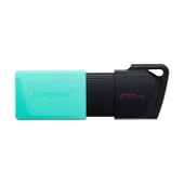 Kingston 256Gb Exodıa M Usb 3.2 Gen1 Dtxm/256Gb - 1