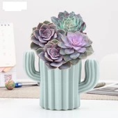 Periboia Kaktüs Figürlü Masaüstü Mini Sukulent Saksı - Kalemlik Plastik - 1