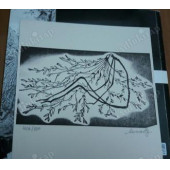 MÜHÜR GÖZLÜM ZEYTİN FİDANI İÇİN DİLEKÇE SEMRA ÖZÜMERZİFON-İZZEDDİN - 1