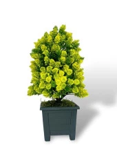 Nettenevime Yapay Çiçek Bonsai Ağacı Sarı Kozalak Model Dekoratif Yapay Ağaç Bonzai 30*15 CM Siyah Kare Saksıda - 6