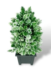 Nettenevime Yapay Çiçek Bonsai Ağacı Beyaz Kozalak Model Dekoratif Yapay Ağaç Bonzai 30*15 CM Siyah Kare Saksıda thumbnail 2