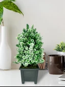 Nettenevime Yapay Çiçek Bonsai Ağacı Beyaz Kozalak Model Dekoratif Yapay Ağaç Bonzai 30*15 CM Siyah Kare Saksıda thumbnail 1