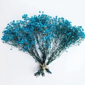 Nettenevime Kuru Çiçek Doğal CİVİT MAVİ Cipso 50gram 1. Kalite Şoklanmış Bozulmaz thumbnail 4