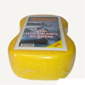 Periboia Oto Süngeri - Yıkama Süngeri - 4