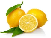 Periboia Limon Bonesi / 500 Adet / Bitki Çayı Bonesi - 2