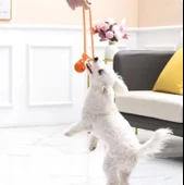 Köpek Renkli Elastik Toplu Diş İpi Oyuncağı 5 cm - 5