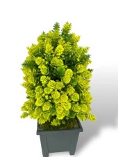 3lü Set Yapay Çiçek Bonsai Ağacı Kozalak Model Dekoratif Yapay Ağaç Bonzai 30*15 CM Siyah Kare Saksıda - 6