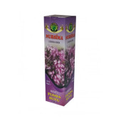Nursima Funda Suyu 1LT - 1