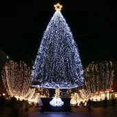 Periboia 100 Ledli Gün Işığı Yılbaşı Ağacı Işığı Led Ampül - 1