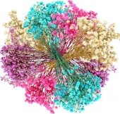 Nettenevime 10lu Set Kuru Çiçek Doğal Cipso Şoklanmış Bozulmaz 10Farklı  Karışık Renkler thumbnail 1