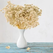 Nettenevime 10lu Set Kuru Çiçek Doğal KREM Cipso Şoklanmış Bozulmaz thumbnail 6