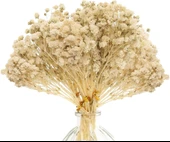 Nettenevime 10lu Set Kuru Çiçek Doğal KREM Cipso Şoklanmış Bozulmaz thumbnail 4