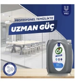 Cif Professional Çok Amaçlı Yüzey Temizleyici Çiçek Bahçesi 10 Lt (5 lt x 2 Adet) thumbnail 3