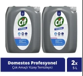 Cif Professional Çok Amaçlı Yüzey Temizleyici Çiçek Bahçesi 10 Lt (5 lt x 2 Adet) thumbnail 1