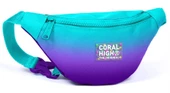 Coral High Turkuaz Mor Renk Geçişli Baskılı Erkek Çocuk Bel Çantası thumbnail 1