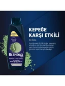 Blendax Men Kepeğe Karşı Etkili 4 ü 1  Arada Erkekler İçin Şampuan Kil Özlü 500 ml - 4