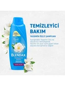 Blendax Temizleyici Bakım Şampuan Yasemin Özlü 500 ml - 4