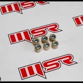 SPONTİNİ ÖN VARYATÖR 6 LI BURÇ18X14 13.10GR - 1