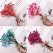 Nettenevime 10lu Set Kuru Çiçek Doğal MAVİ Cipso Şoklanmış Bozulmaz - 4