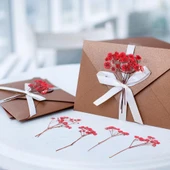 Nettenevime 10lu Set Kuru Çiçek Doğal KIRMIZI Cipso Şoklanmış Bozulmaz thumbnail 5