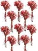 Nettenevime 10lu Set Kuru Çiçek Doğal KIRMIZI Cipso Şoklanmış Bozulmaz thumbnail 1