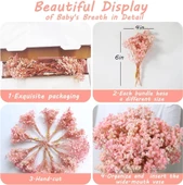 Nettenevime 10lu Set Kuru Çiçek Doğal PEMBE AÇIK Cipso Şoklanmış Bozulmaz thumbnail 6