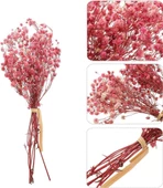 Nettenevime 10lu Set Kuru Çiçek Doğal PEMBE AÇIK Cipso Şoklanmış Bozulmaz thumbnail 7