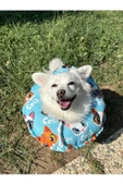 Kedi-Köpek Boyunluk-Elizabeth Yakalık Operasyon Boyunluk-kedi Boyun Yastığı(ÖZEL KUMAŞ)Maviş Kediler - 1