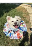 Kedi-Köpek Boyunluk-Elizabeth Yakalık Operasyon Boyunluk-kedi Boyun Yastığı(ÖZEL KUMAŞ)Kedili Bahçe - 1