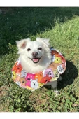Kedi Köpek Elizabeth Yakalık Operasyon Boyunluk  Yastığı Özel Kumaş Ayıcıklar - 1