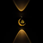 Powermaster PM-24447 3000K Hilal Dekoatif Led  Duvar Aplik 115x115x51 mm - 3