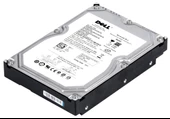 DELL HDD 250GB 7.2K 3G SATA 3.5" NHP F420T ST3250310NS - 1