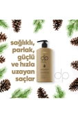 DP DAİLY PERFECTİON,Şampuan 425 ml Çam Terebentin - 2