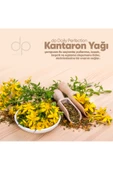 DP DAİLY PERFECTİON,425 ml Kantaron Yağı Şampuan - 2