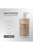 DAILY PERFECTION PRO,Reactivator Şampuan 450 ml - 2