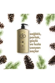 DP DAİLY PERFECTİON,Tuzsuz Şampuan Çam Terebentin 4 Adet 500 ml - 2