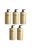 DP DAİLY PERFECTİON,Tuzsuz Şampuan Çam Terebentin 5 Adet 500 ml - 1