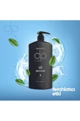 DP DAİLY PERFECTİON,Erkeklere Özel Mentol Ferahlatıcı Etki Tuzsuz Şampuan 5 Adet 800 ml - 2